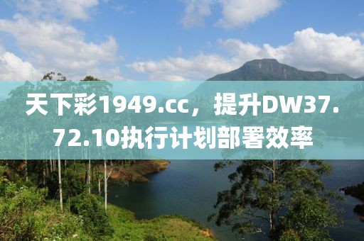 天下彩1949.cc，提升DW37.72.10執(zhí)行計劃部署效率