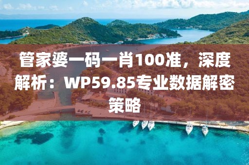 管家婆一碼一肖100準，深度解析：WP59.85專業(yè)數(shù)據(jù)解密策略