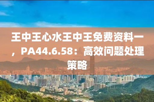 王中王心水王中王免費(fèi)資料一，PA44.6.58：高效問題處理策略
