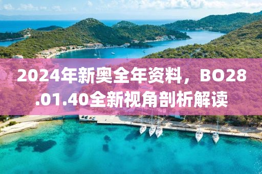 2024年新奧全年資料，BO28.01.40全新視角剖析解讀