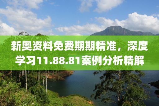 新奧資料免費期期精準，深度學習11.88.81案例分析精解