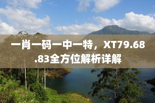 一肖一碼一中一特，XT79.68.83全方位解析詳解