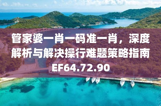 管家婆一肖一碼準一肖，深度解析與解決操行難題策略指南EF64.72.90