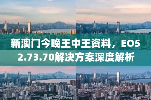 新澳門今晚王中王資料，EO52.73.70解決方案深度解析
