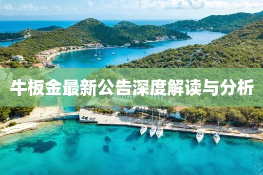 白茶清婉 第23頁