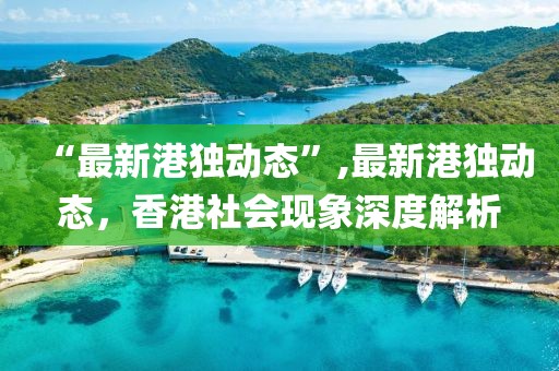 “最新港獨(dú)動(dòng)態(tài)”,最新港獨(dú)動(dòng)態(tài)，香港社會(huì)現(xiàn)象深度解析