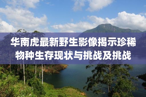 華南虎最新野生影像揭示珍稀物種生存現(xiàn)狀與挑戰(zhàn)及挑戰(zhàn)