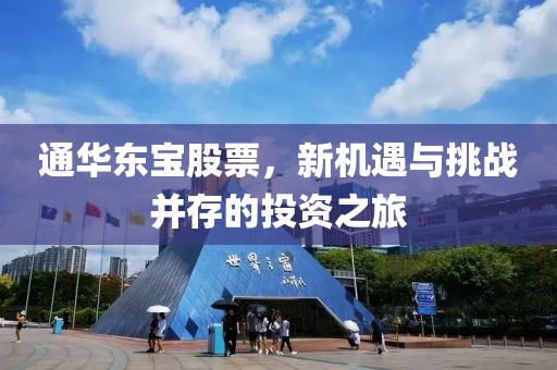 通華東寶股票，新機(jī)遇與挑戰(zhàn)并存的投資之旅