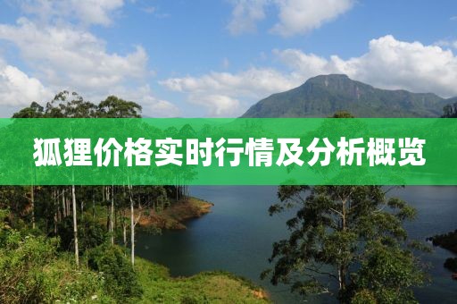 狐貍價(jià)格實(shí)時(shí)行情及分析概覽