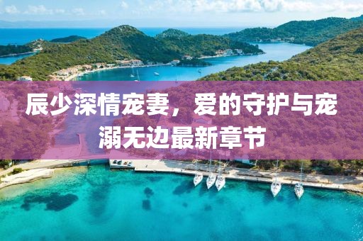 辰少深情寵妻，愛的守護(hù)與寵溺無邊最新章節(jié)