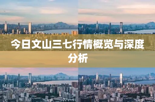 今日文山三七行情概覽與深度分析
