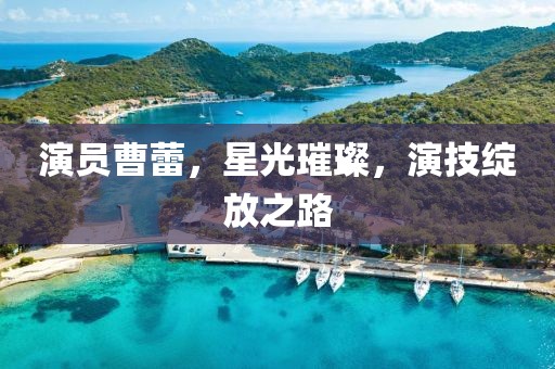 演員曹蕾，星光璀璨，演技綻放之路