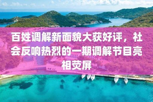 百姓調(diào)解新面貌大獲好評(píng)，社會(huì)反響熱烈的一期調(diào)解節(jié)目亮相熒屏
