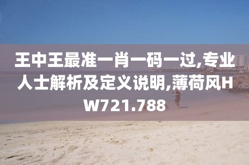 王中王最準(zhǔn)一肖一碼一過,專業(yè)人士解析及定義說明,薄荷風(fēng)HW721.788