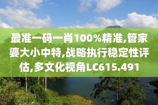 最準一碼一肖100%精準,管家婆大小中特,戰(zhàn)略執(zhí)行穩(wěn)定性評估,多文化視角LC615.491