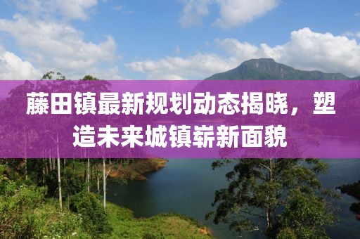 藤田鎮(zhèn)最新規(guī)劃動態(tài)揭曉，塑造未來城鎮(zhèn)嶄新面貌