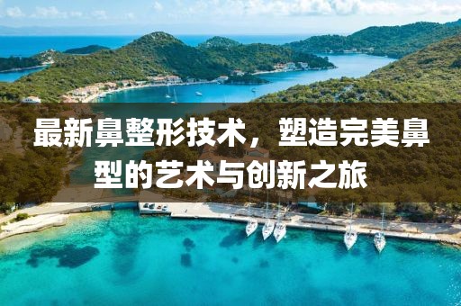 最新鼻整形技術(shù)，塑造完美鼻型的藝術(shù)與創(chuàng)新之旅