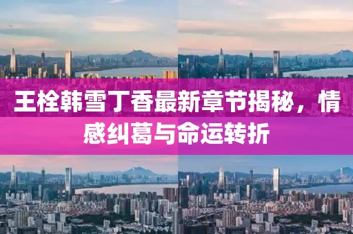 王栓韓雪丁香最新章節(jié)揭秘，情感糾葛與命運(yùn)轉(zhuǎn)折