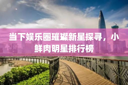 當(dāng)下娛樂(lè)圈璀璨新星探尋，小鮮肉明星排行榜