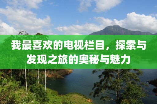 我最喜歡的電視欄目，探索與發(fā)現(xiàn)之旅的奧秘與魅力
