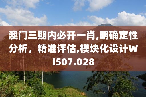 澳門三期內(nèi)必開一肖,明確定性分析，精準評估,模塊化設(shè)計WI507.028