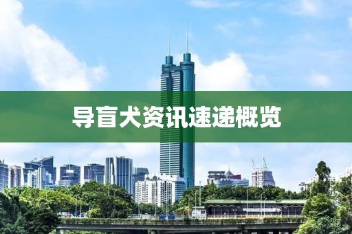 導(dǎo)盲犬資訊速遞概覽
