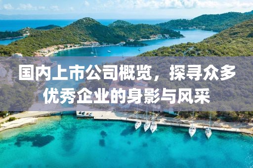 國內(nèi)上市公司概覽，探尋眾多優(yōu)秀企業(yè)的身影與風(fēng)采
