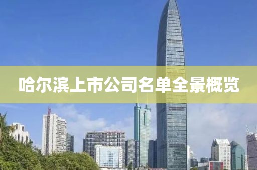 哈爾濱上市公司名單全景概覽