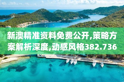 新澳精準資料免費公開,策略方案解析深度,動感風格382.736
