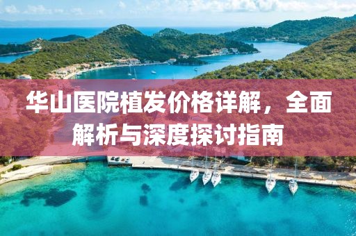 華山醫(yī)院植發(fā)價(jià)格詳解，全面解析與深度探討指南