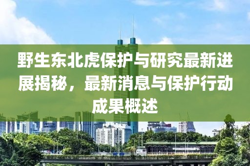 野生東北虎保護(hù)與研究最新進(jìn)展揭秘，最新消息與保護(hù)行動(dòng)成果概述