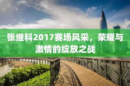 張繼科2017賽場風采，榮耀與激情的綻放之戰(zhàn)