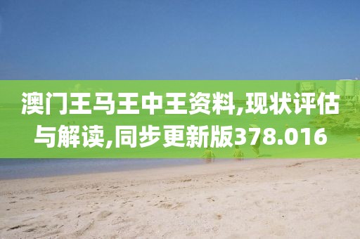 澳門王馬王中王資料,現(xiàn)狀評估與解讀,同步更新版378.016