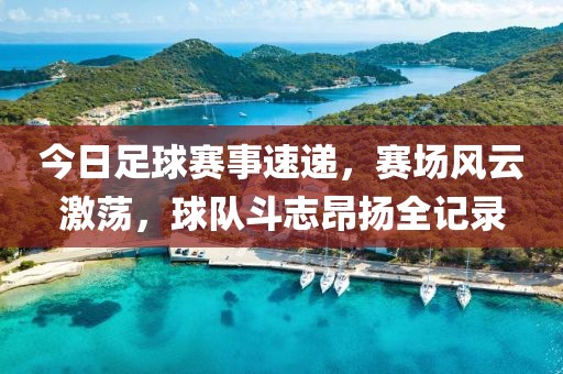 今日足球賽事速遞，賽場風(fēng)云激蕩，球隊(duì)斗志昂揚(yáng)全記錄