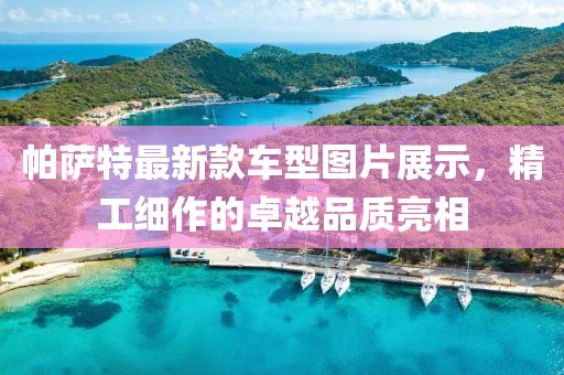 帕薩特最新款車型圖片展示，精工細(xì)作的卓越品質(zhì)亮相