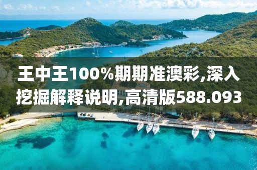 王中王100%期期準澳彩,深入挖掘解釋說明,高清版588.093