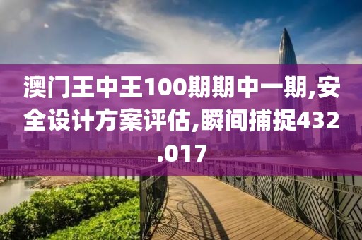 澳門(mén)王中王100期期中一期,安全設(shè)計(jì)方案評(píng)估,瞬間捕捉432.017