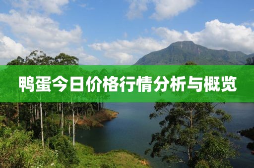 鴨蛋今日價格行情分析與概覽