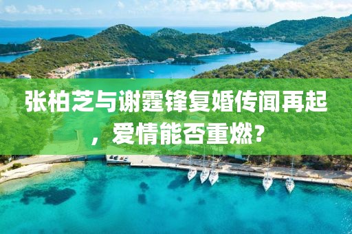 張柏芝與謝霆鋒復(fù)婚傳聞再起，愛情能否重燃？