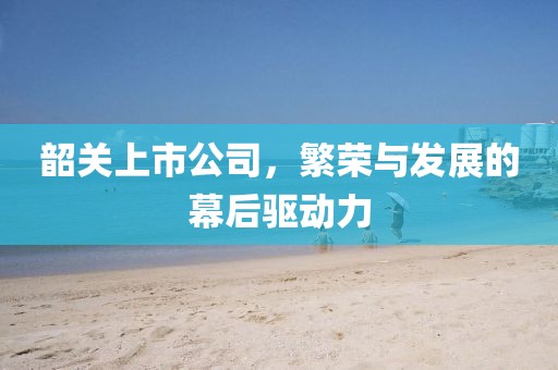 韶關(guān)上市公司，繁榮與發(fā)展的幕后驅(qū)動(dòng)力
