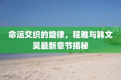 命運(yùn)交織的旋律，程雅與韓文昊最新章節(jié)揭秘