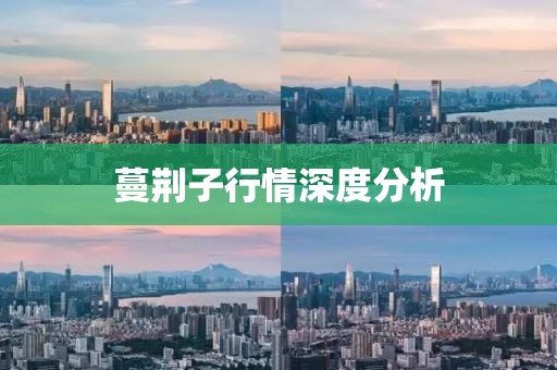 蔓荊子行情深度分析