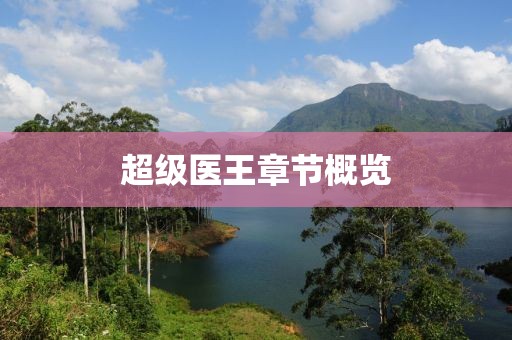 超級(jí)醫(yī)王章節(jié)概覽
