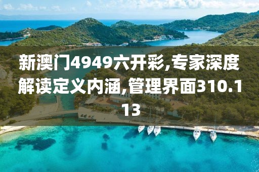 新澳門4949六開彩,專家深度解讀定義內(nèi)涵,管理界面310.113