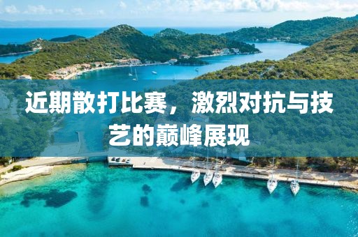 近期散打比賽，激烈對(duì)抗與技藝的巔峰展現(xiàn)