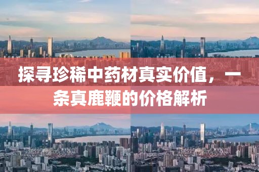 探尋珍稀中藥材真實價值，一條真鹿鞭的價格解析