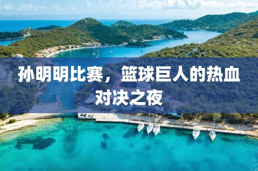 孫明明比賽，籃球巨人的熱血對(duì)決之夜