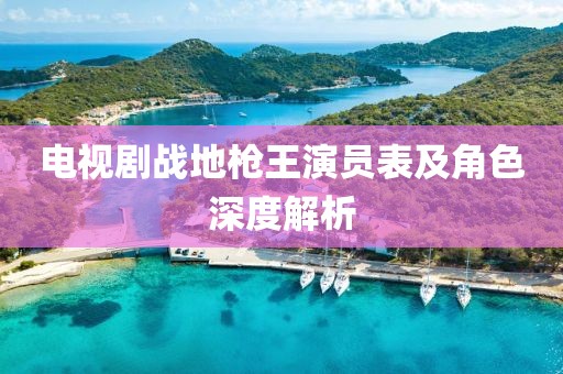 電視劇戰(zhàn)地槍王演員表及角色深度解析