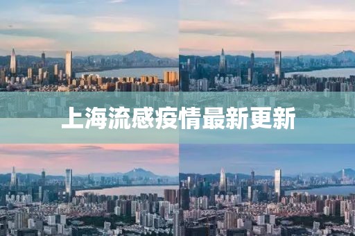 上海流感疫情最新更新