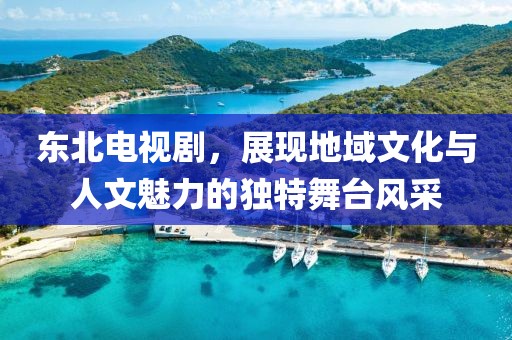 東北電視劇，展現(xiàn)地域文化與人文魅力的獨特舞臺風(fēng)采